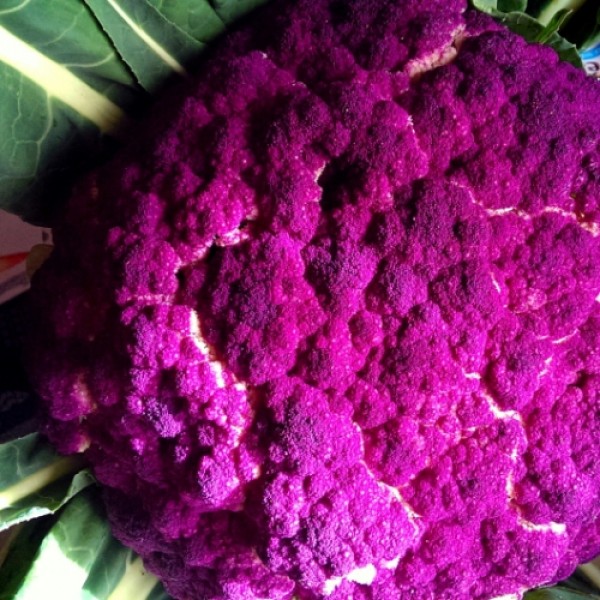 Omaxe Cauliflower Di Sicilia Violetto (30 seeds)